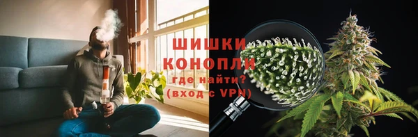 шишки Алексеевка
