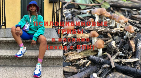 шишки Алексеевка