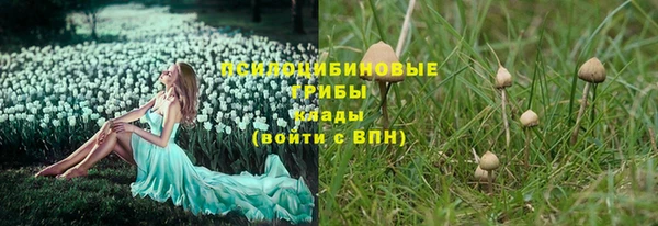 бошки Алексин