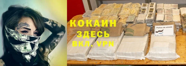шишки Алексеевка